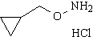 O-环丙基甲基羟胺盐酸盐