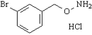 O-[(3-溴苯基)甲基]羟胺盐酸盐