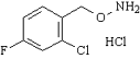 2-氯-4氟苄氧胺盐酸盐 